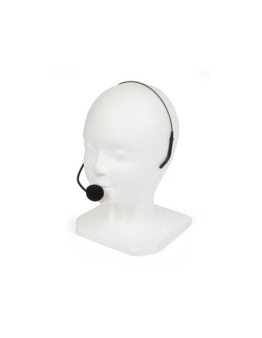 SISTEMA DE AUDIO PORTÁTIL PARA GUIAS Y PROFESORES