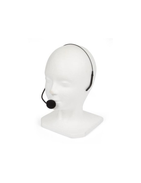 SISTEMA DE AUDIO PORTÁTIL PARA GUIAS Y PROFESORES