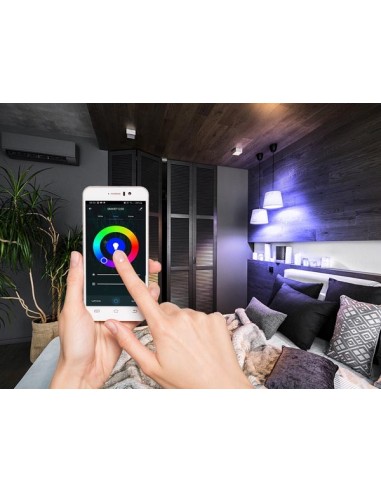 BOMBILLA INTELIGENTE RGB SMART WIFI - COLOR BLANCO FRÍO & BLANCO CÁLIDO - E27 - A60