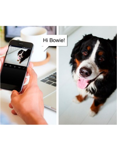 CAMARA INTELIGENTE WIFI CON VISIÓN NOCTURNA FULL HD