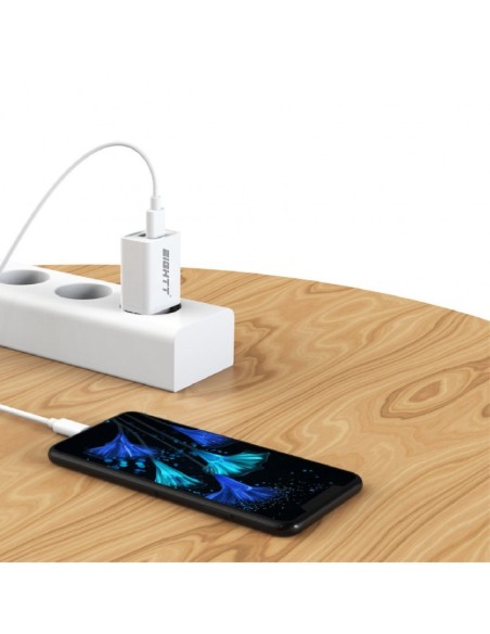 Cargador Smartphone Tablet Micro USB 5V 2.4A