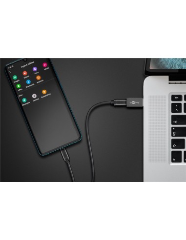 Adaptador USB-C/USB-A Hembra-Macho
