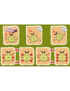 KIT ROBOT "LADYBUG" 2