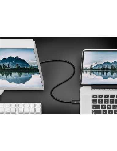 CABLE USB 3.1 C A DP/M 1.20MTS