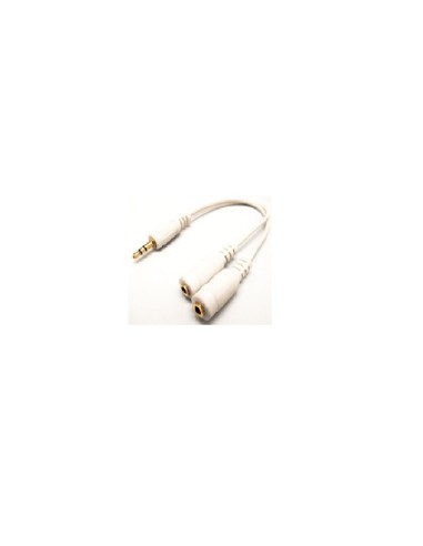 LATIG.BLANCO ST.3.5-M A 2-HEMBRA