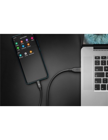 Cable.USB-C/USB-A m/m 3mts
