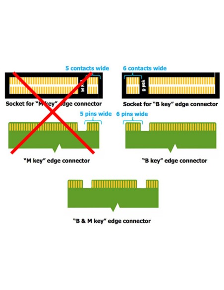 Adaptador USB 3.0 a M.2 SATA SSD tipo B o B+M