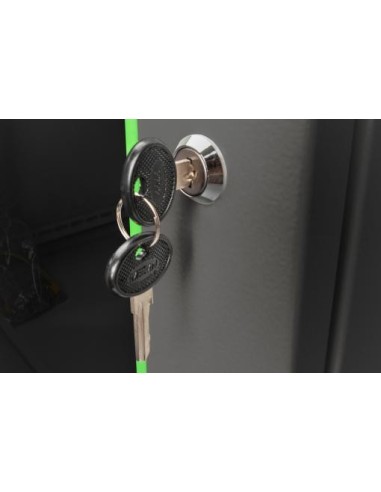 Rack mural 16U de la serie Dynamic Basic - 600 x 450 mm-