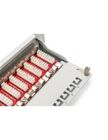 Patch panel CAT 6A, apantallado, 12 puertos 1UA, 10", gris