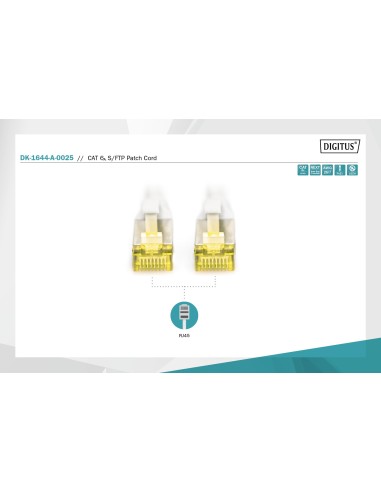 Latiguillo CAT 6A S-FTP, 1,00 m, color gris