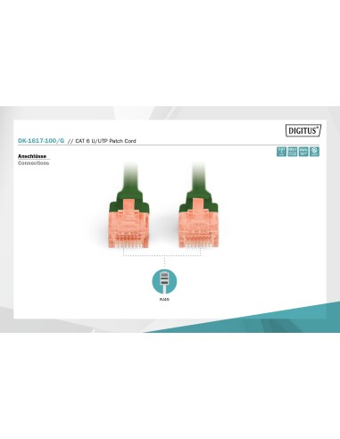 Latiguillo CAT 6 U-UTP, longitud 0,25 m, color verde