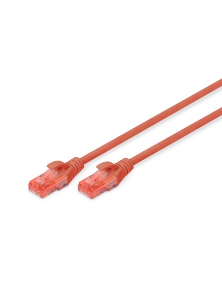 Latiguillo CAT 6 U-UTP, longitud 10,00 m, color rojo