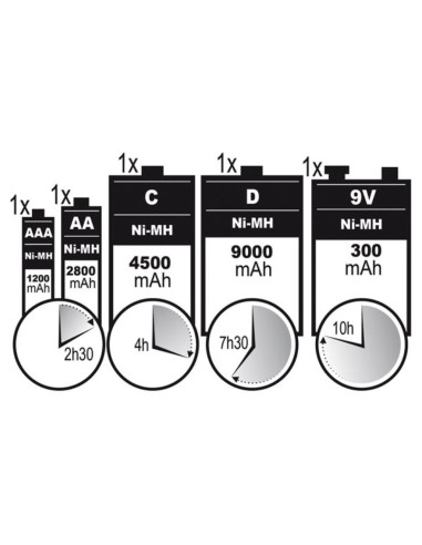 CARGADOR-DESCARGADOR RAPIDO UNIVERSAL AA-AAA-C-D & 9V