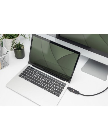 Adaptador 4K USB, USB-C/macho a HDMI A/hembra