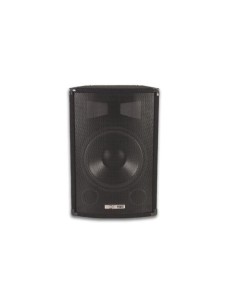 CAJA ACUSTICA NEGRA 2VIAS 300W