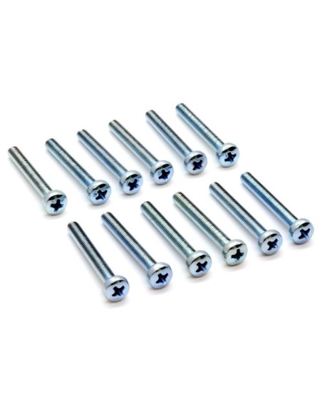 BOLSA DE 20 TONILLOS M2.5X10mm PH1