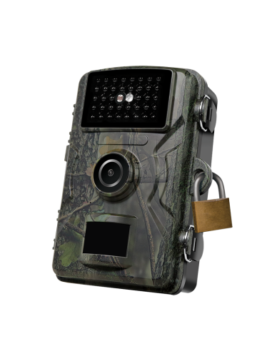 Cámara para intemperie con visión nocturna