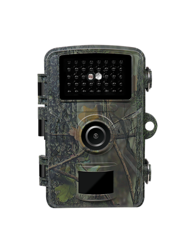 Cámara para intemperie con visión nocturna