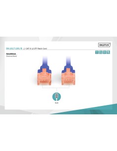 10MTS CAT6 UTP RJ-45 LATIGUILLO AZUL 2