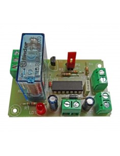 BASCULA ELECTRONICA 2