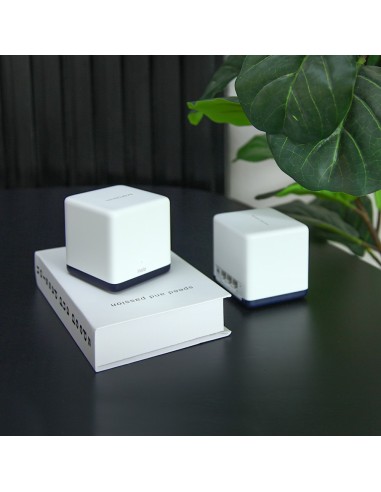 Kit 2 unidades WIFI en malla AC1900