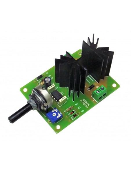 R-4 REGULADOR MOTOR C.C 3A 18-24VDC
