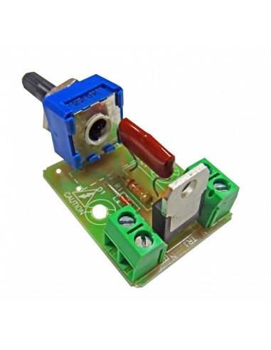REGULADOR DE LUZ 250 WATS