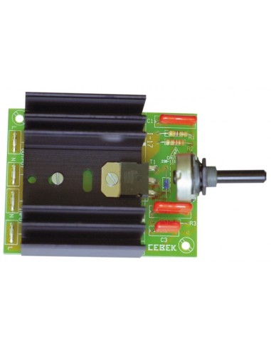 REGULADOR DE LUZ DE 4000W