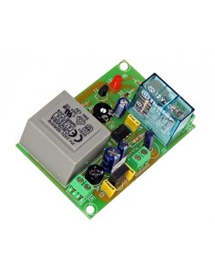 TEMPORIZADOR REDISPARO 1S-3MIN 2