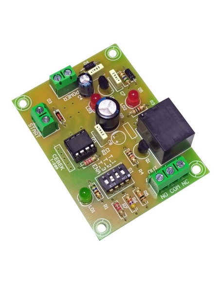TEMPORIZADOR D1 A 6 MESES 12V