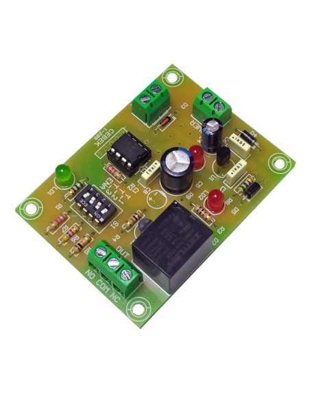 TEMPORIZADOR D1 A 6 MESES 12V