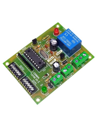 TEMPORIZADOR PRECISION CICLICOS