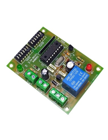 TEMPORIZADOR PRECISION CICLICOS