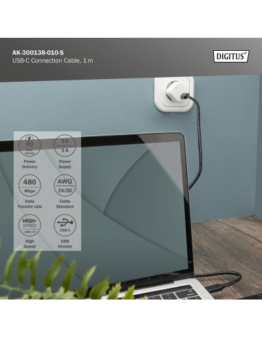 Cable USB Type-C  a Type- C M/M, 1.0m, 3A, 480MB, 2.0