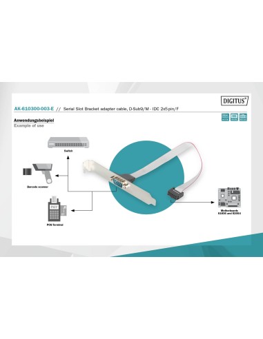 Bracket DB9 macho RS232. Placa 10Pins