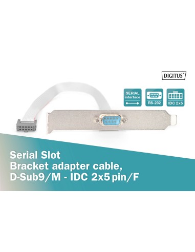 Bracket DB9 macho RS232. Placa 10Pins