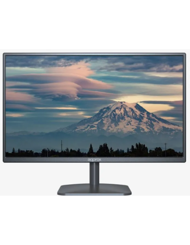 Monitor 19" VGA/HDMI