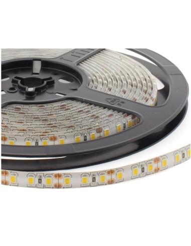 5Mts. TIRA 300 LED BLANCO NEUTRO 12V 72W IP65