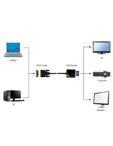 Adaptador DVI-D / VGA M/H