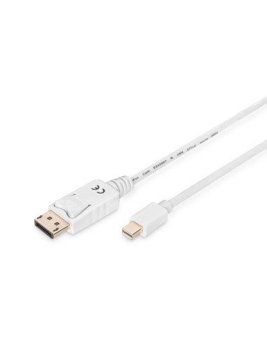 Cable de conexión DisplayPort