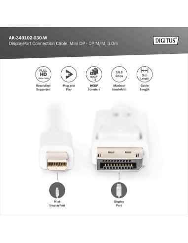 Cable de conexión DisplayPort