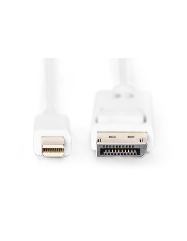 Cable de conexión DisplayPort