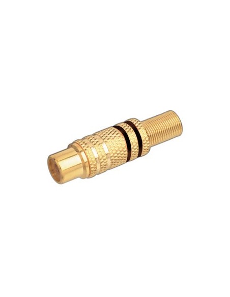 HEMBRA RCA DORADO AROS NEGROS