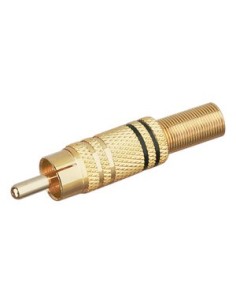 MACHO RCA DORADO AROS NEGROS