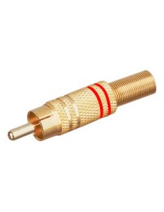 MACHO RCA DORADO AROS ROJOS