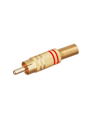 MACHO RCA DORADO AROS ROJOS