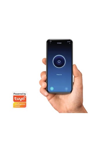 JUEGO DE RECEPTOR Y TRANSMISOR RF DE 2 CANALES CON IoT TUYA