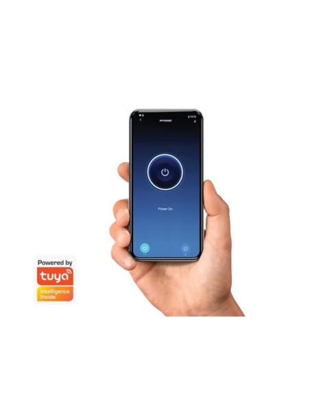 JUEGO DE RECEPTOR Y TRANSMISOR RF DE 2 CANALES CON IoT TUYA