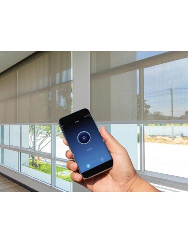 JUEGO DE RECEPTOR Y TRANSMISOR RF DE 2 CANALES CON IoT TUYA