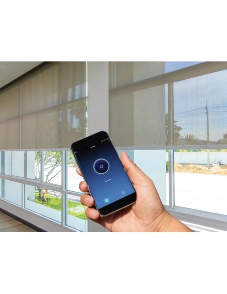 JUEGO DE RECEPTOR Y TRANSMISOR RF DE 2 CANALES CON IoT TUYA